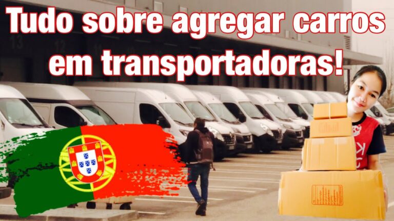 Melhores Transportadoras em Aveiro: Guia Completo para Escolhas Eficientes