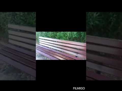 Meu Super Reboleira: O Guia Completo para Transformar Seu Estilo de Vida