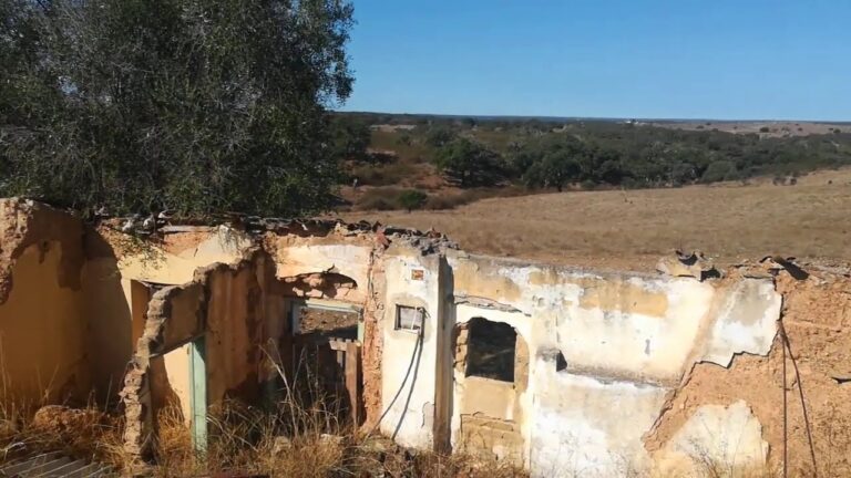 Explorando as Inovações da Almoster e Mina Lda