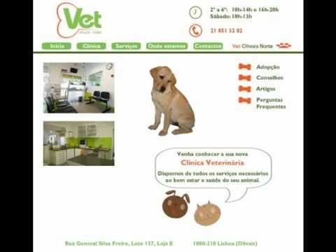 Clínica Veterinária Olivais: Cuidados e Serviços de Excelência para Seu Pet