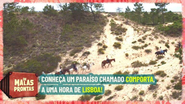 Descubra a Loja do Peixe Comporta: Frescor e Sabor &agrave; Sua Mesa