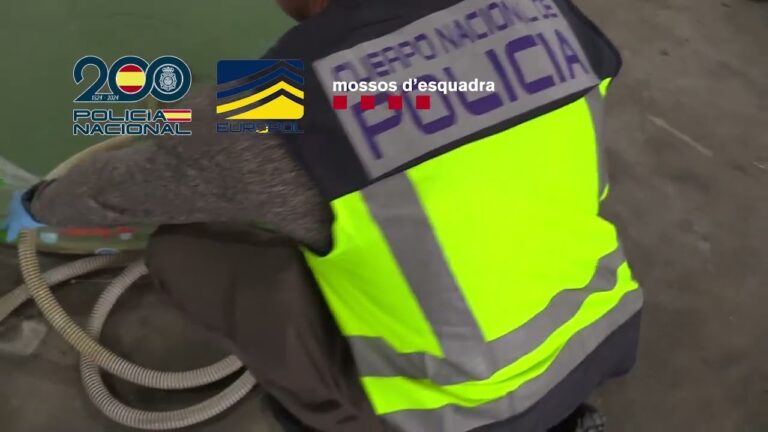 Identificando Moedas de 2 Euros Falsas: Dicas e Sinais de Alerta