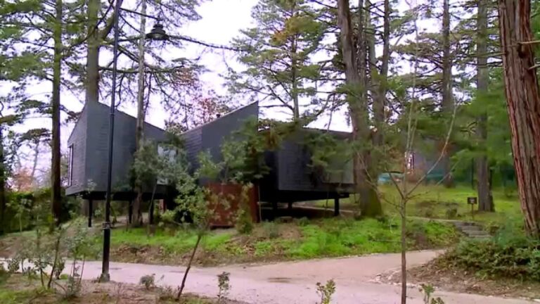 Casas na &Aacute;rvore em Pedras Salgadas: Um Ref&uacute;gio &Uacute;nico na Natureza