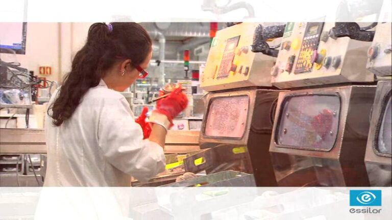 Inova&ccedil;&atilde;o e Qualidade na Essilor Portugal: A Lideran&ccedil;a da Sociedade Industrial de &Oacute;ptica Lda.