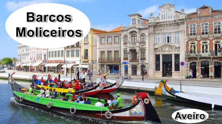 Preços de Passeio de Barco em Aveiro: Tudo o que Você Precisa Saber