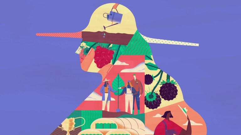 Contactos da Maravilha Farms: Conecte-se com a Natureza