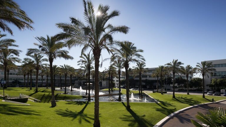 Transformação e Oportunidades no Lagoas Park para Empresas