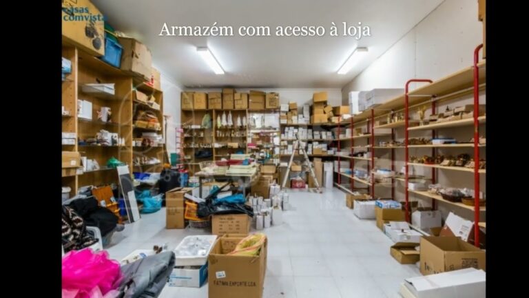 Fátima Exporte Lda: Inovação e Crescimento no Setor Exportador
