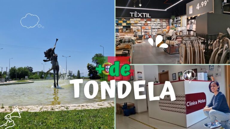 Clinica Motus Tondela: Inova&ccedil;&atilde;o em Sa&uacute;de e Reabilita&ccedil;&atilde;o