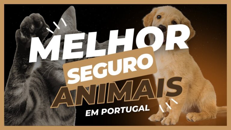 Descubra o Melhor Seguro para C&atilde;es