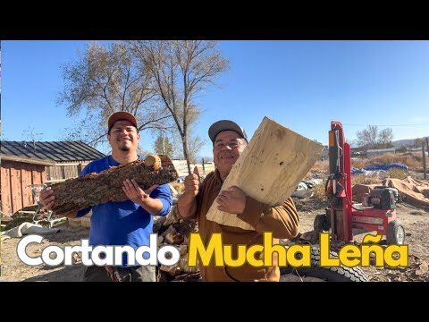 Inova&ccedil;&atilde;o e Sustentabilidade na Lena M&aacute;quinas Agr&iacute;colas SA