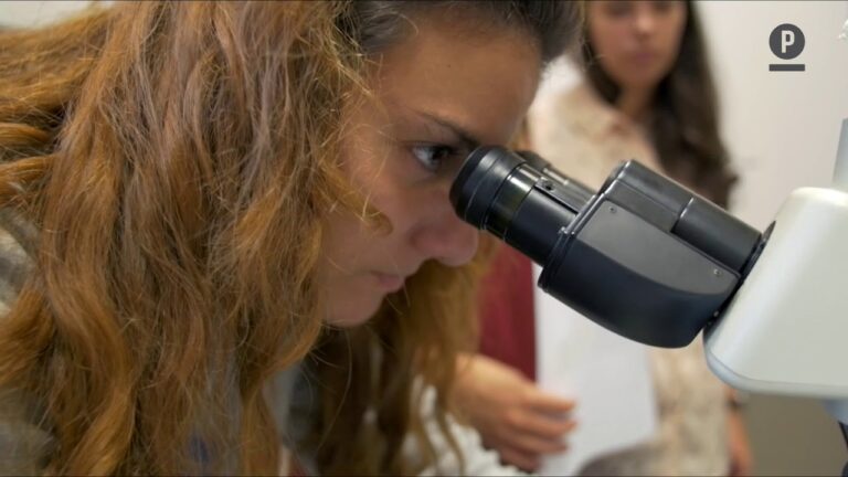 Clínica Dentária Portalegre: Sorrisos Saudáveis e Cuidados de Qualidade