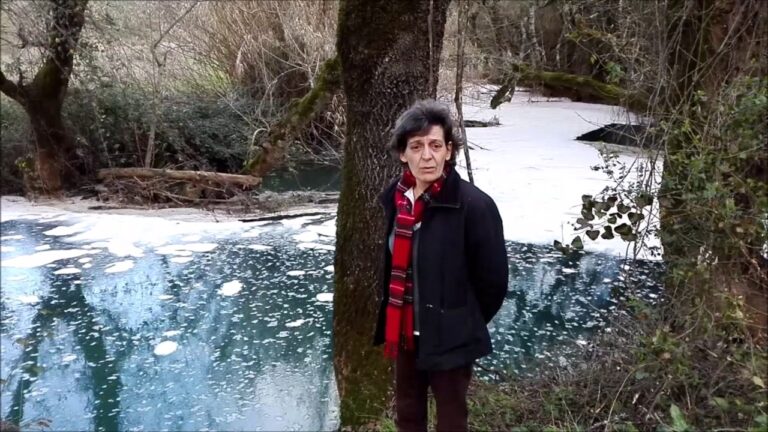 Renova Zibreira: Inovação e Sustentabilidade na Agricultura