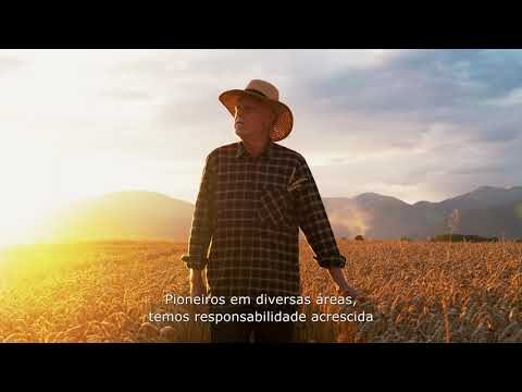 Instituto Técnico de Alimentação Humana do Itaú: Excelência em Educação e Nutrição